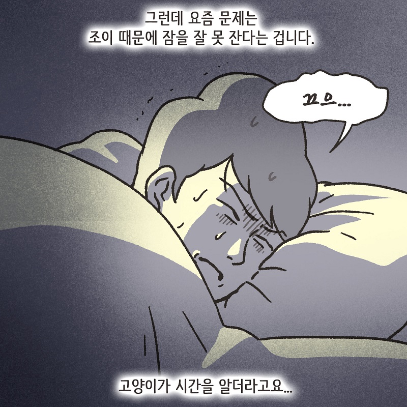 조변님과 조이 — 웹툰 장면 9