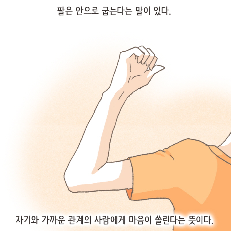 팔은 안으로 굽는다 — 웹툰 장면 6
