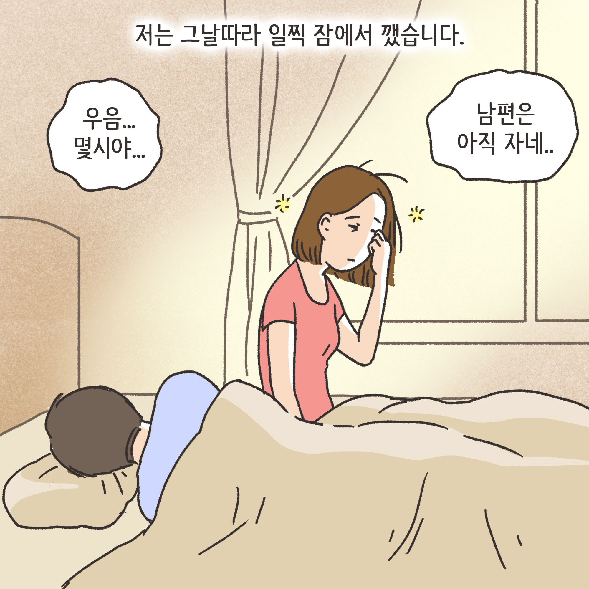 거짓말이 많은 남편(1) — 웹툰 장면 5