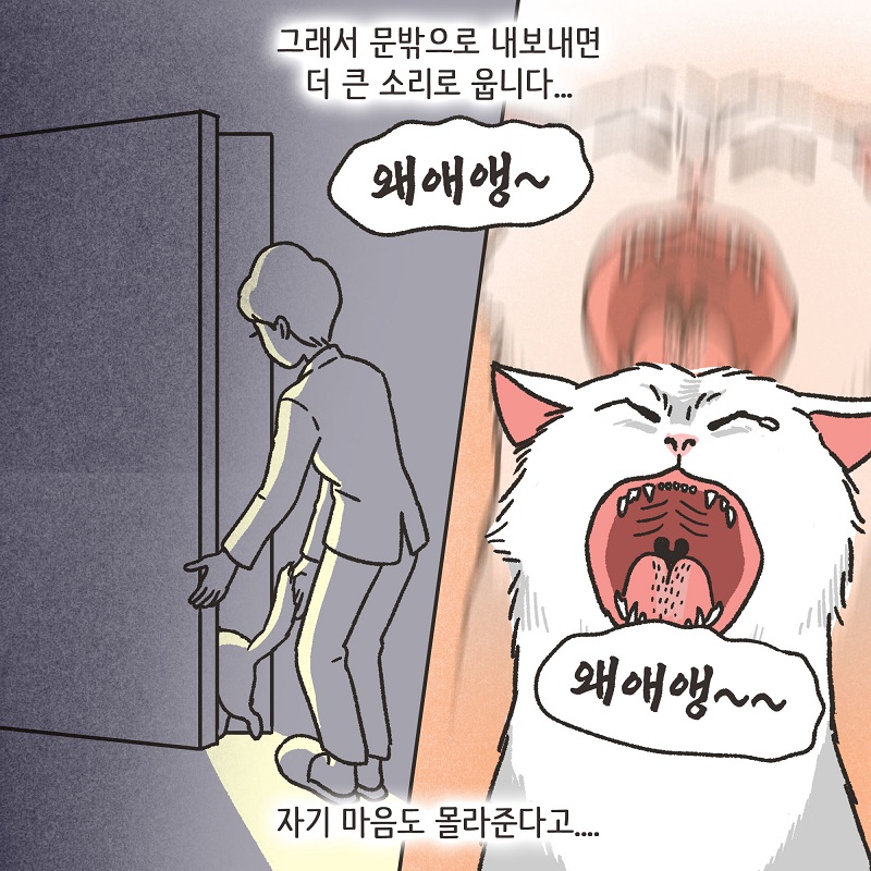 조변님과 조이 — 웹툰 장면 11