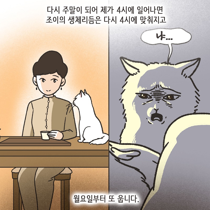 조변님과 조이 — 웹툰 장면 13