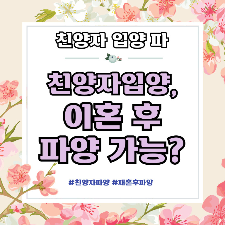 친양자입양한 전처아들, 이혼후 파양 가능? — 관련 이미지 1