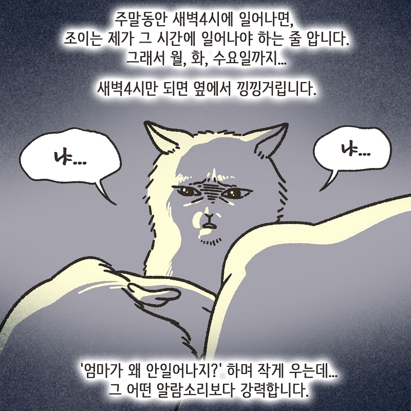 조변님과 조이 — 웹툰 장면 10