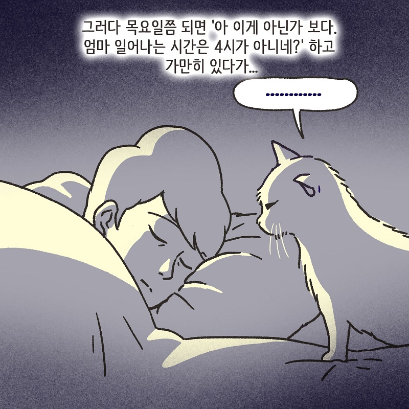 조변님과 조이 — 웹툰 장면 12