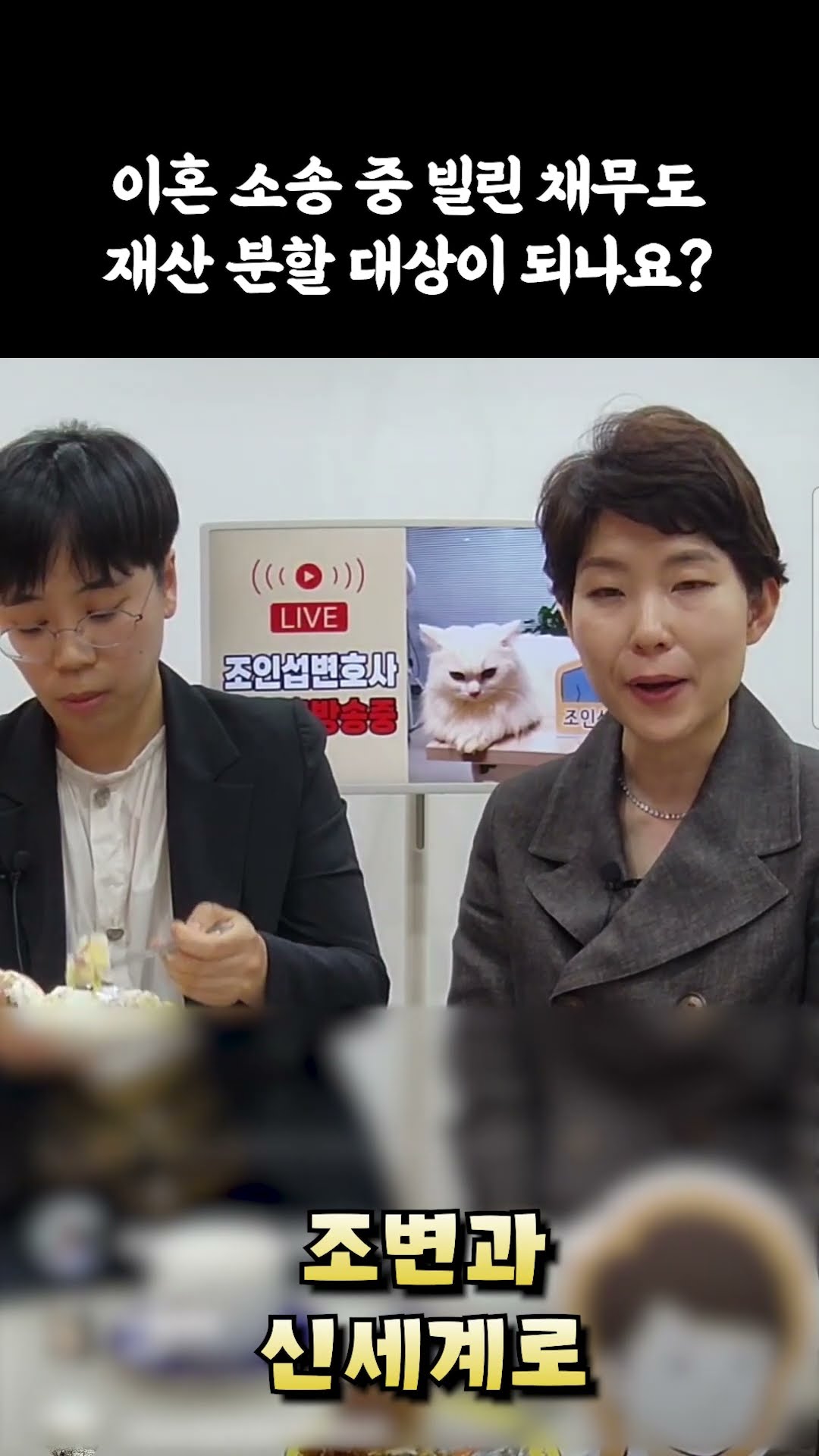 이혼소송중 빌린채무도 재산분할 대상?