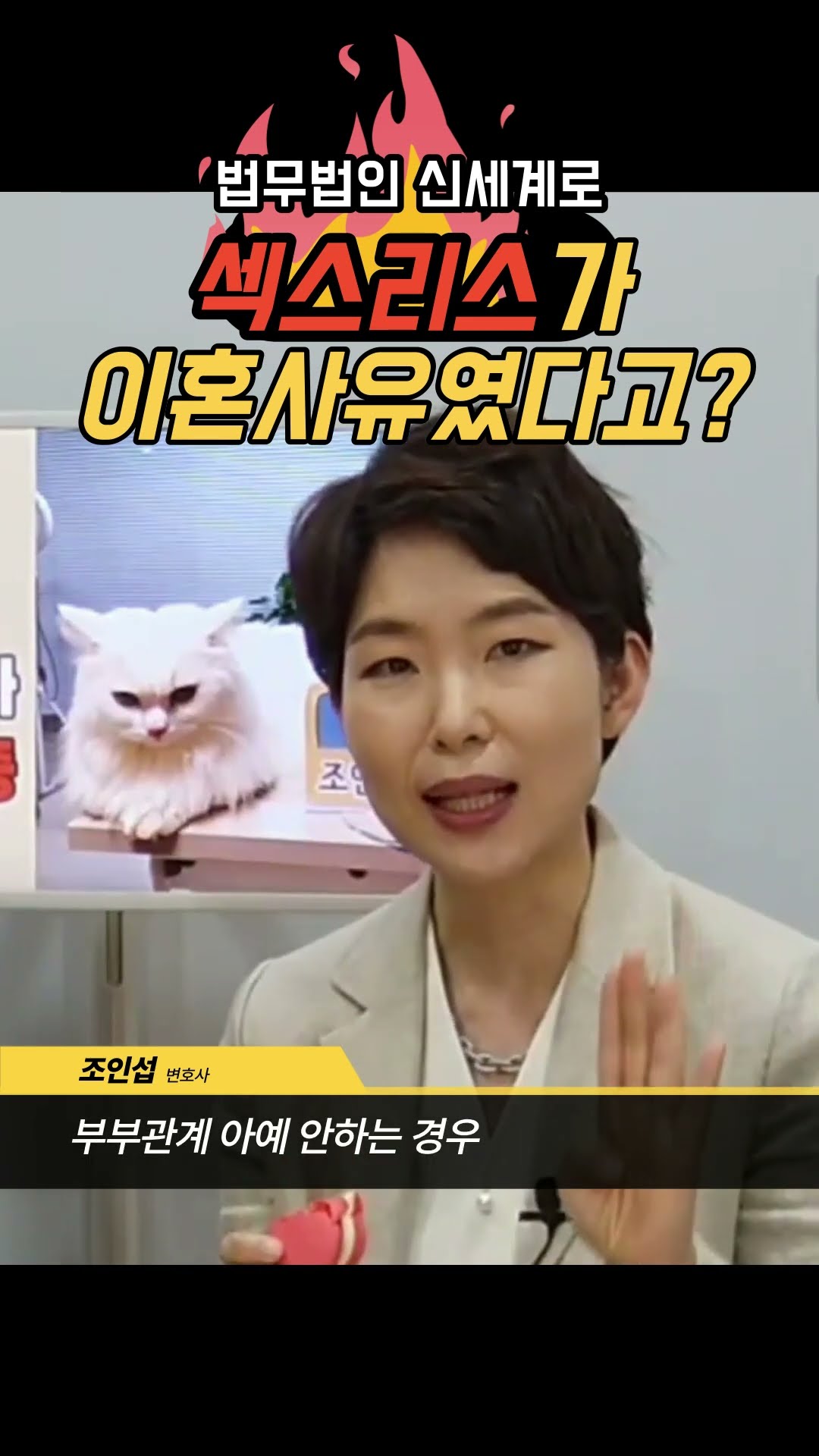 부부관계거부, 이혼사유?