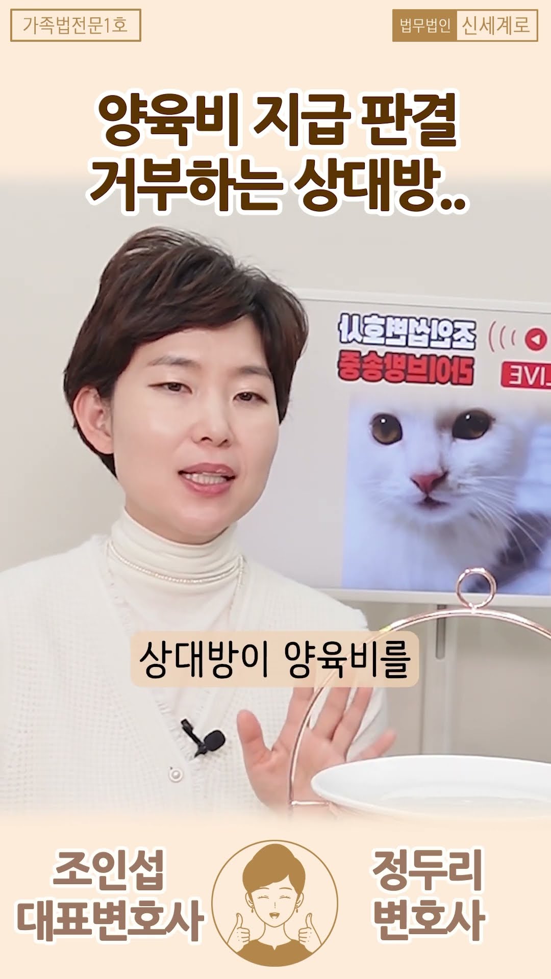 양육비 판결, 무시하면 끝?