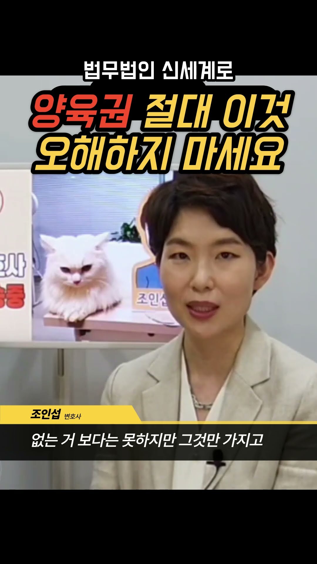 경제력이 없는데 양육권 가능한가요?