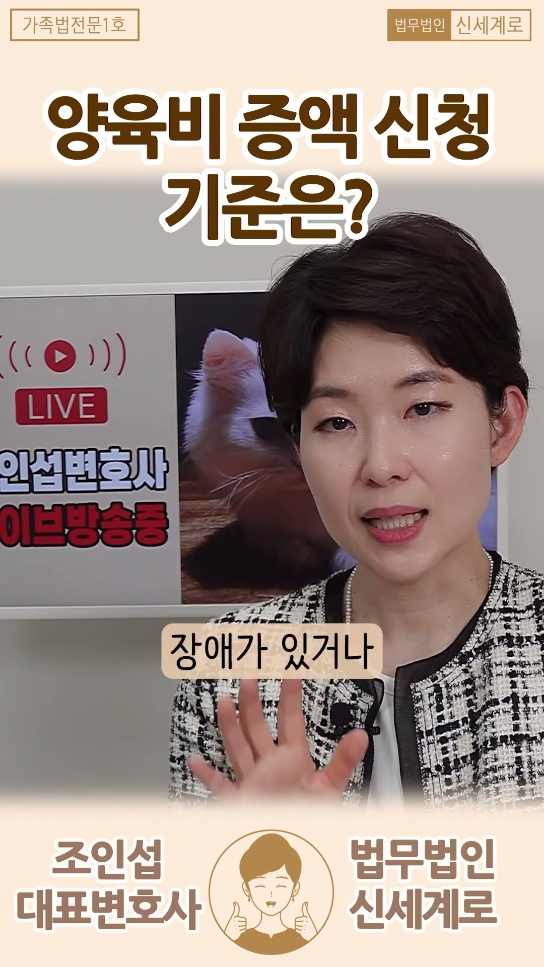 아이의 장애 판정, 양육비 증액 가능?