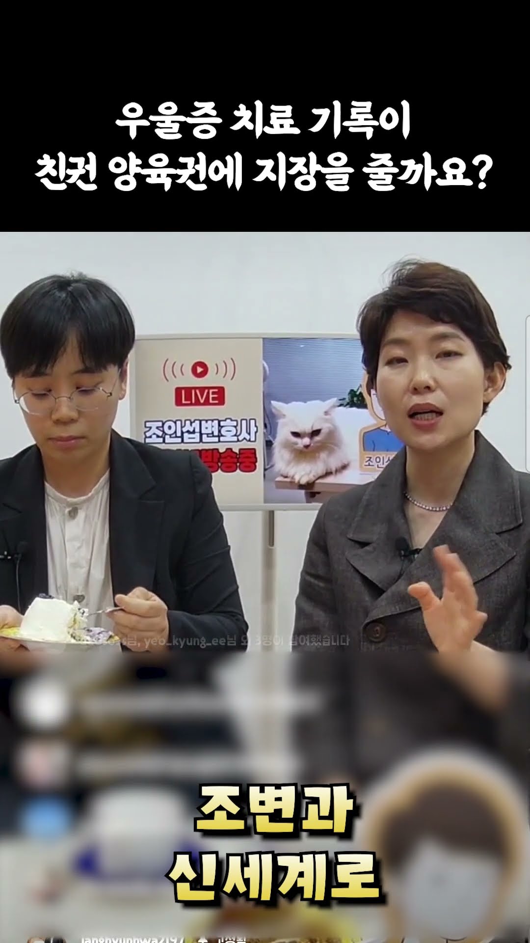 우울증치료기록 친권 양육권에 영향을 주나요?