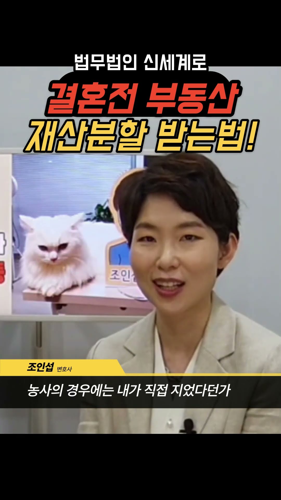 결혼전 재산, 재산분할받기