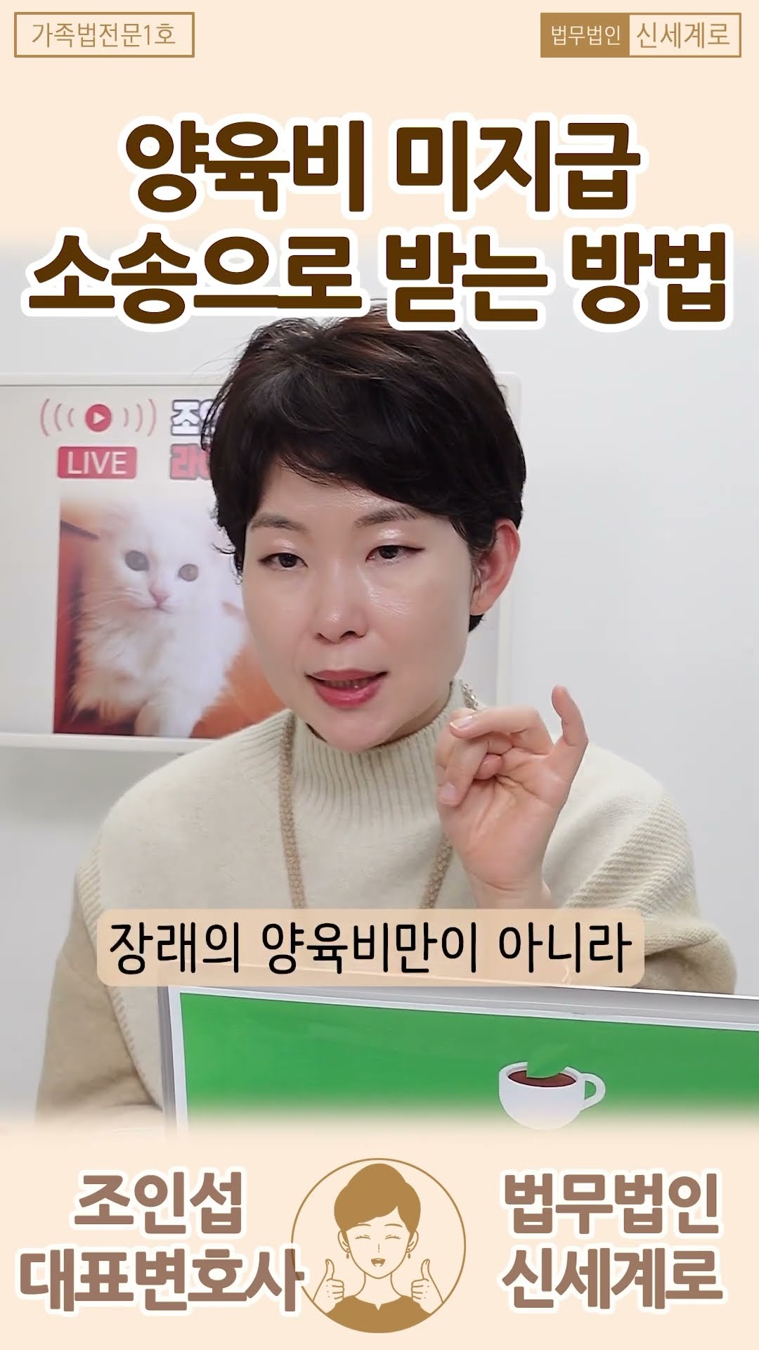 상대방이 양육비를 안준다면?