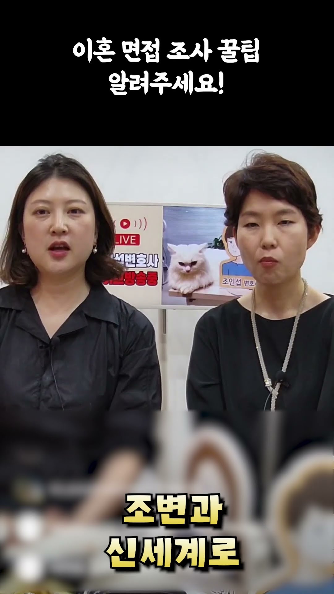 이혼면접조사 꿀팁
