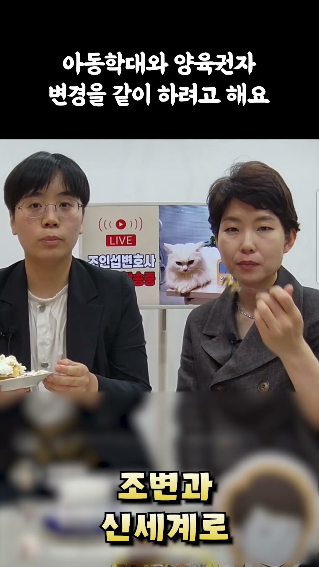 아동학대고소와 양육권자 변경