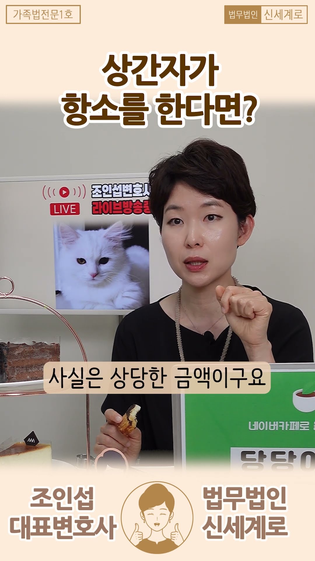 상간자가 항소를 한다면? 사이다 가능!
