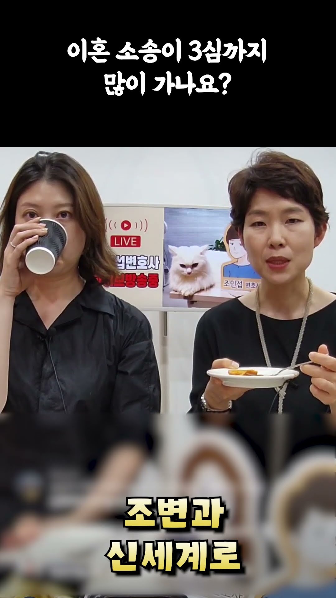 이혼소송이 3심까지 가나요?