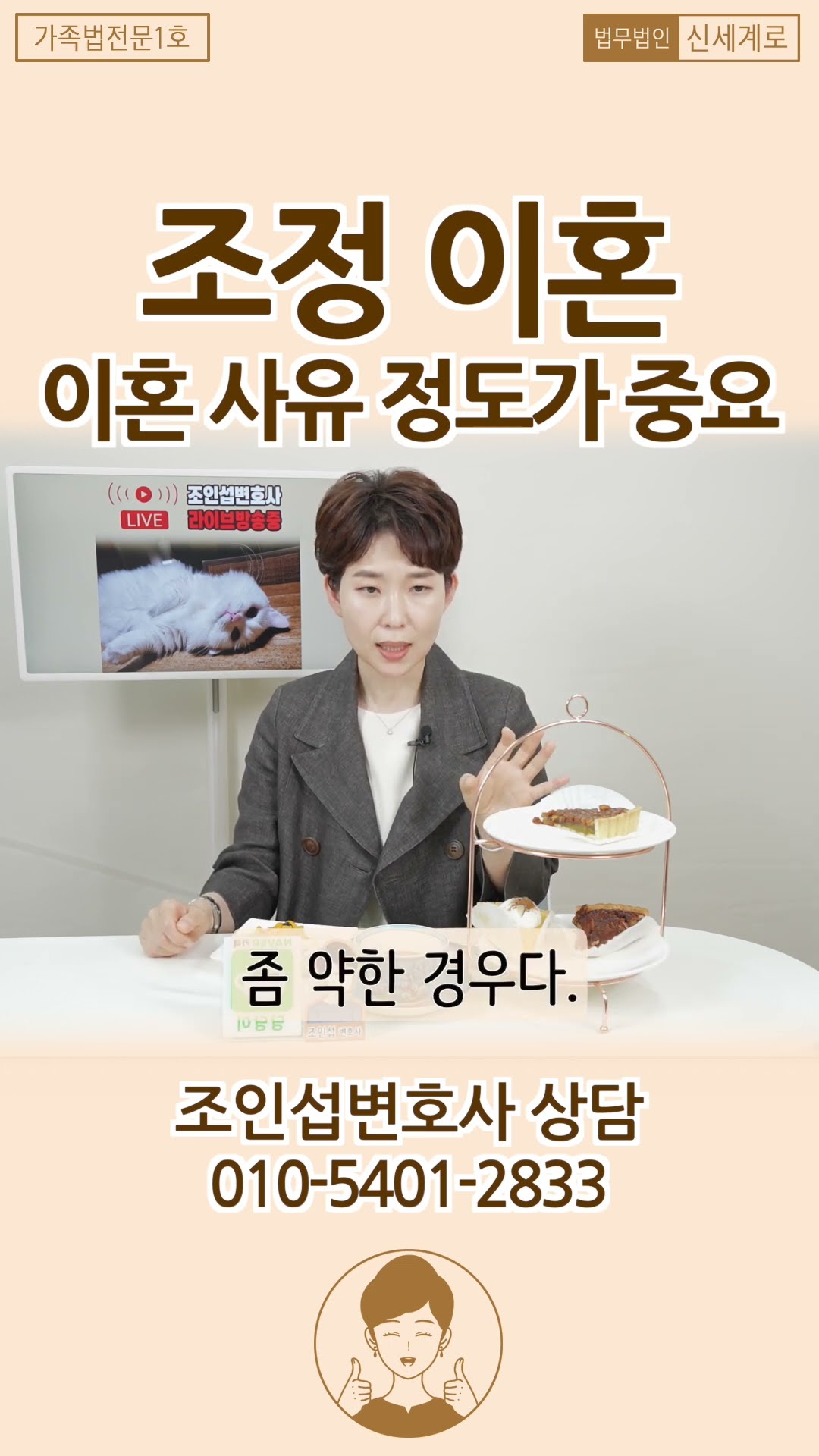 조정 이혼, 사유 정도가 중요합니다!
