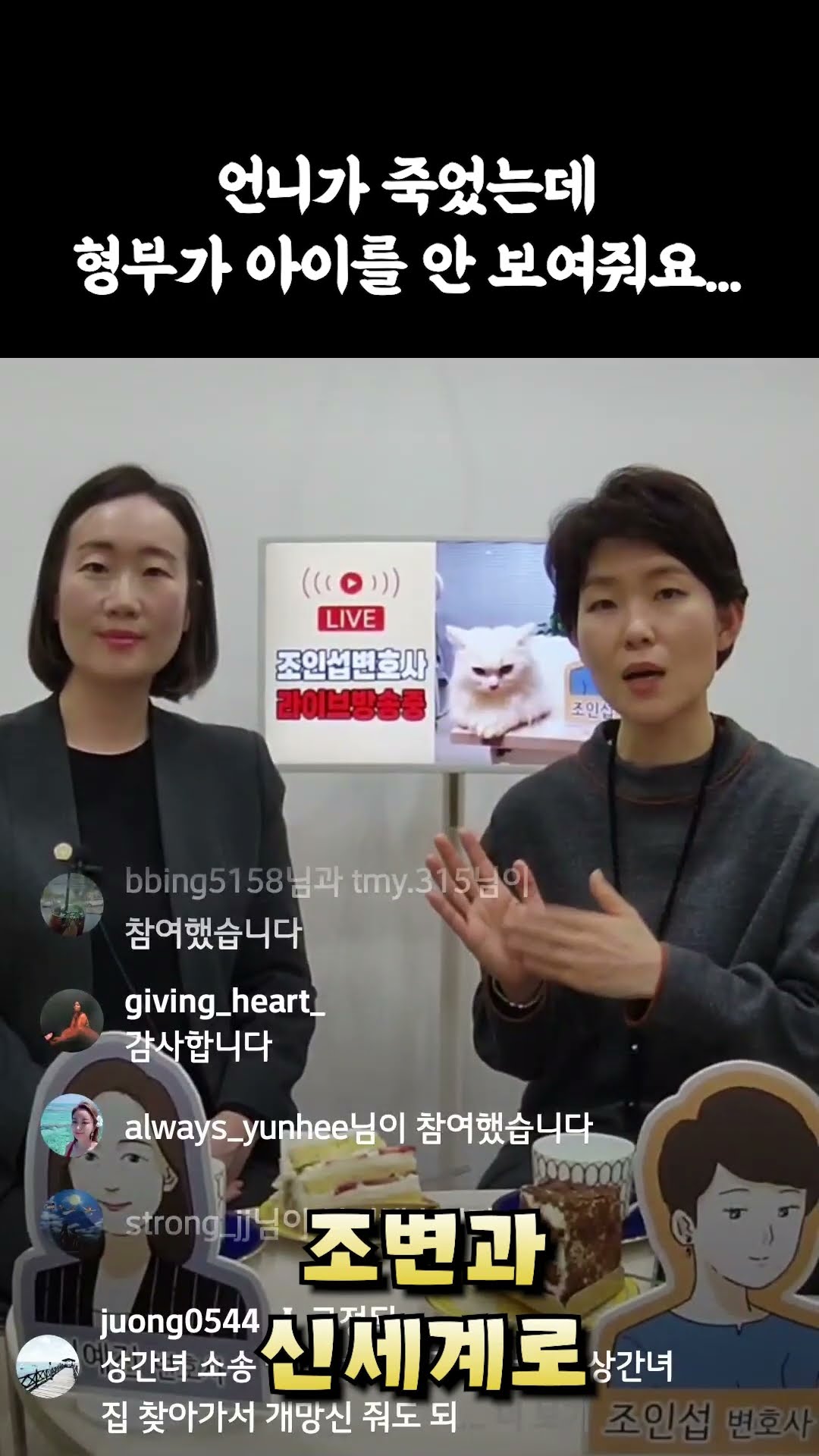 언니가 죽었는데 형부가 아이를 안보여줘요